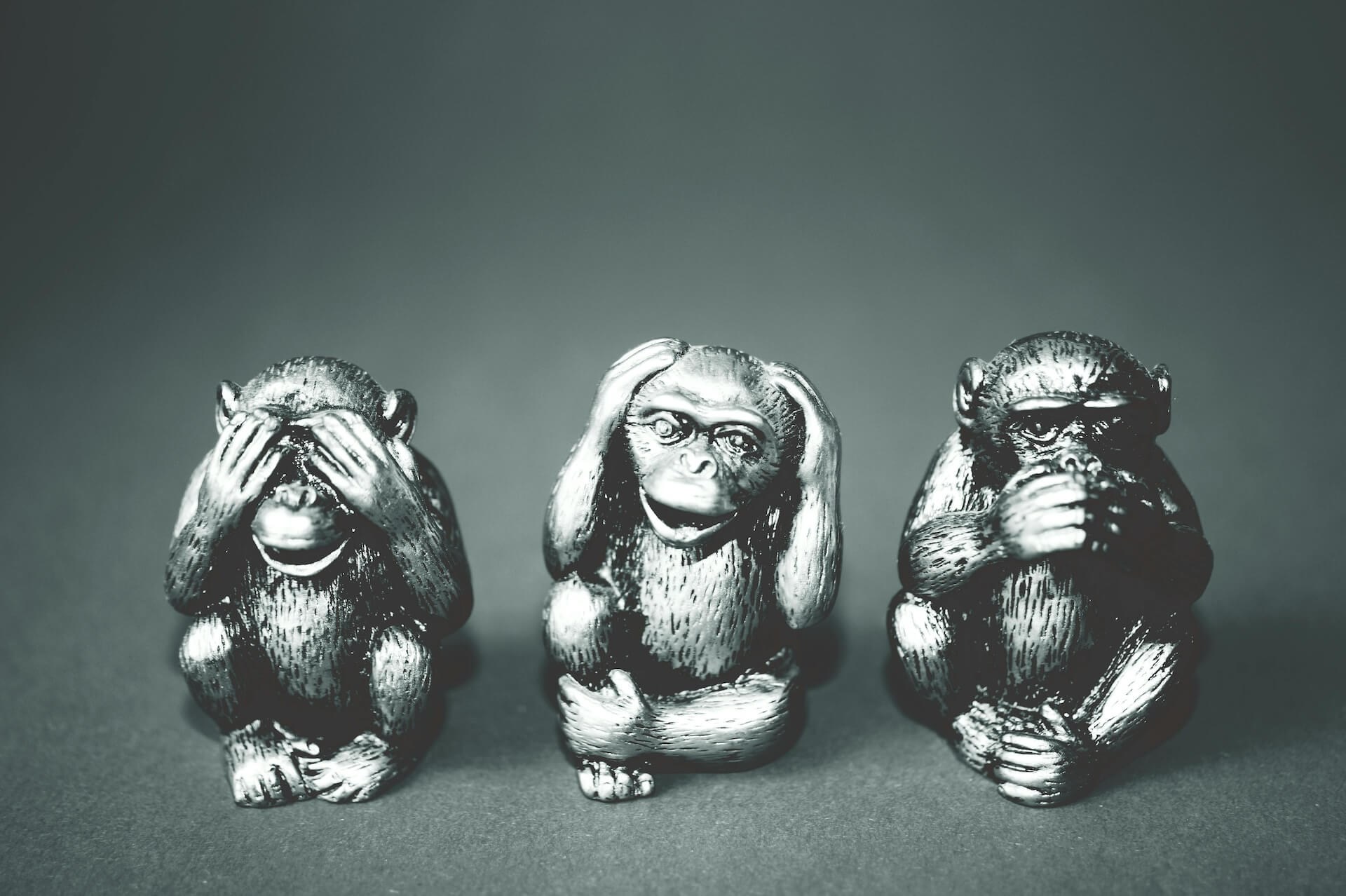 Three wise monkeys pictorial maxin